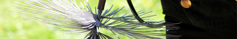 Banner - Björn Ellermann